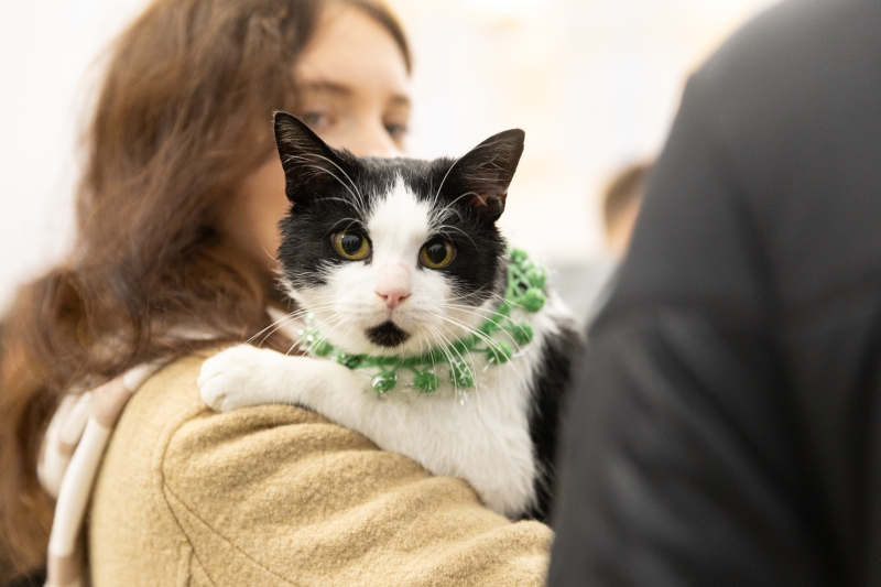 Афіша на вихідні. Куди піти у столиці 13-14 грудня