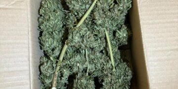 “Чарівне зілля” та зброя: у Миколаєві затримали зловмисника, – ФОТО