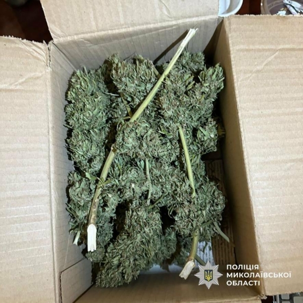 "Чарівне зілля" та зброя: у Миколаєві затримали зловмисника, - ФОТО