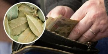 Ця спеція є на кожній кухні: 5 давніх способів залучити гроші в дім