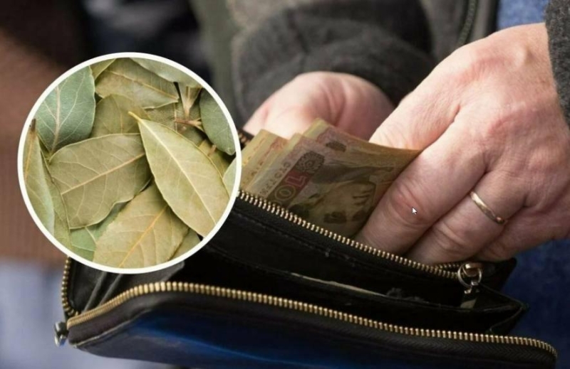 Ця спеція є на кожній кухні: 5 давніх способів залучити гроші в дім