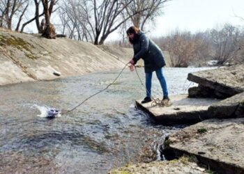 Держекоінспекція перевірила якість води в р.Сумка та її притоках