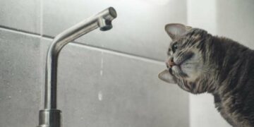 До уваги: де завтра весь день не буде води