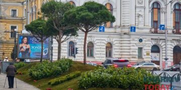 Харків заплатив за чотири хвойних дерева майже по мільйону гривень