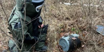 На Київщині лісник знайшов бойову частину російського дрона (фото)