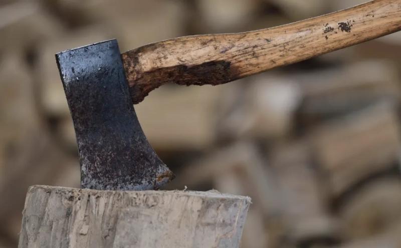 І ВИ ПЕРЕКОНАНІ, НАЧЕ ЗНАЄТЕ, ЯК ПРАВИЛЬНО РУБАТИ ДРОВА?