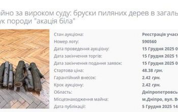 Конфіскат: у Дніпрі на аукціон виставили 12 брусків акації