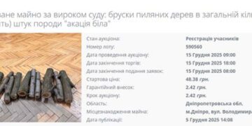 Конфіскат: у Дніпрі на аукціон виставили 12 брусків акації