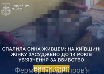 На Київщині мати спалила живцем сина