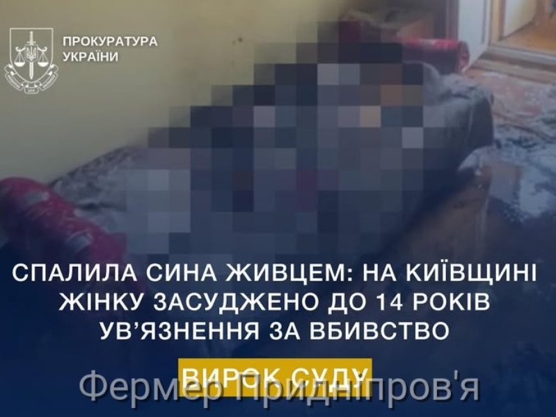 На Київщині мати спалила живцем сина
