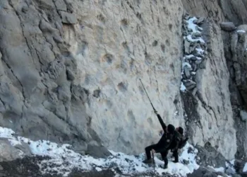 На півночі Італії виявили тисячі слідів динозаврів, яким понад 200 млн років