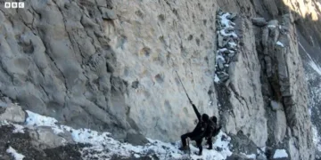 На півночі Італії виявили тисячі слідів динозаврів, яким понад 200 млн років