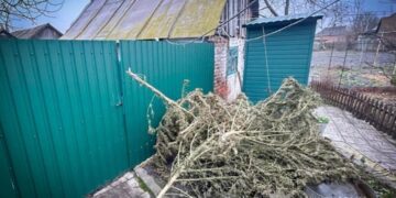 Поліція Охтирщини задокументувала два факти незаконного зберігання наркотичних засобів