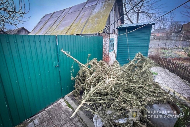 Поліція Охтирщини задокументувала два факти незаконного зберігання наркотичних засобів