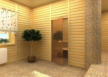 двері для сауни TERMIX