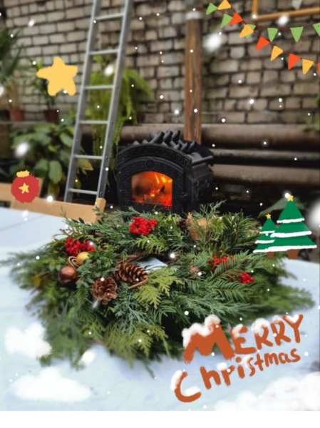 У ботсаду ДНУ відкриється святкова “Новорічна майстерня”