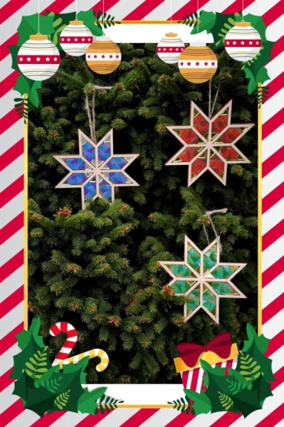 У ботсаду ДНУ відкриється святкова “Новорічна майстерня”