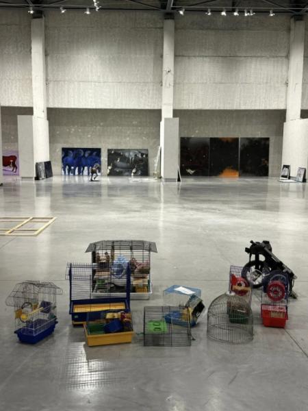 У Луцьку відкривають мультипростірний мистецький проєкт «Інший поруч»