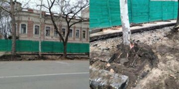 У Миколаєві біля пам’ятки архітектури місцевого значення знищили сім дерев, – ФОТО