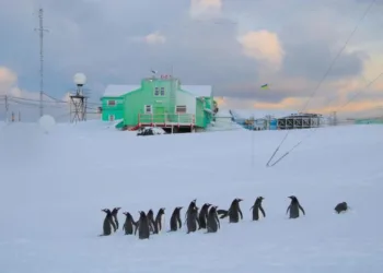 Уряд продовжив держпрограму дослідження Антарктики до кінця 2027 року