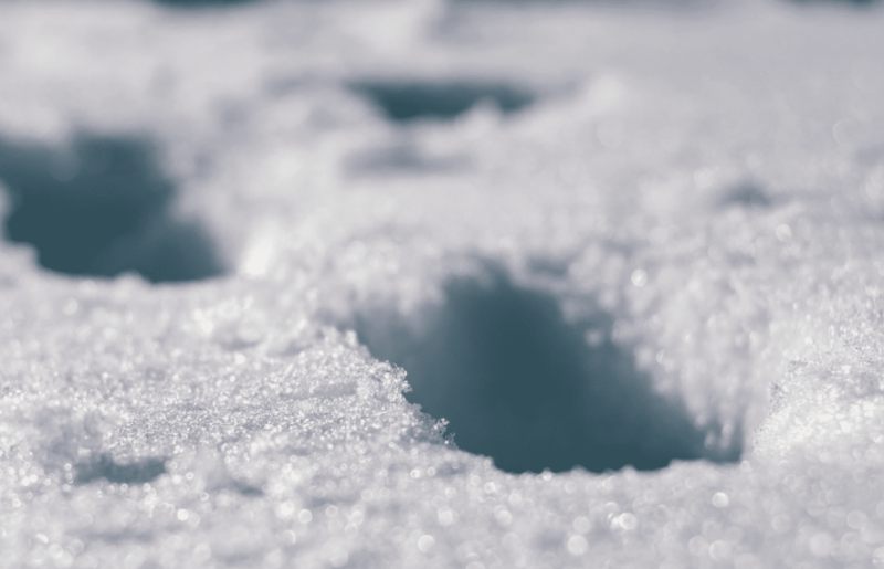 Необачність може коштувати життя: мешканців Прикарпаття просять уникати зимових пасток