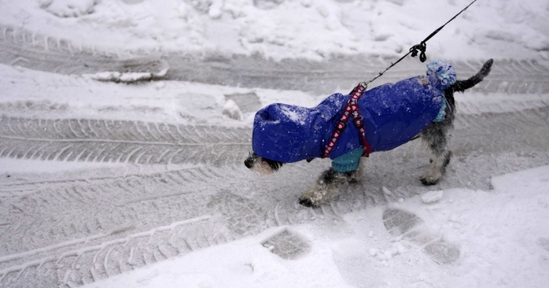 Потепління вже в повітрі: синоптикиня розповіла, коли чекати ослаблення морозів