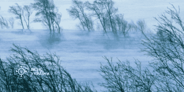 Вітер нищить все на шляху: як не постраждати в Івано-Франківській області 3 січня