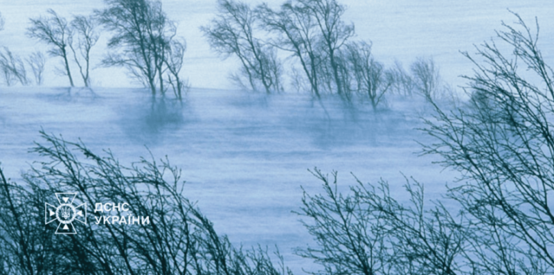 Вітер нищить все на шляху: як не постраждати в Івано-Франківській області 3 січня