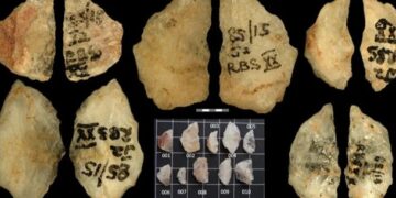 Археологи знайшли найдавнішу отруйну зброю людства віком 60 тис років