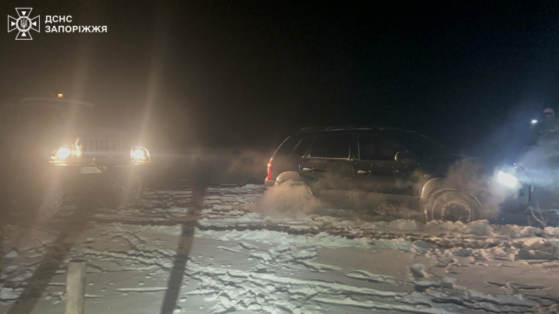 У Запоріжжі через негоду на автодорогах застрягли машини, а також повалило дерево на автівки