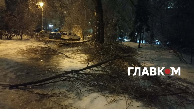 Київ та область накрив рідкісний крижаний дощ: неймовірні фото небезпечної стихії