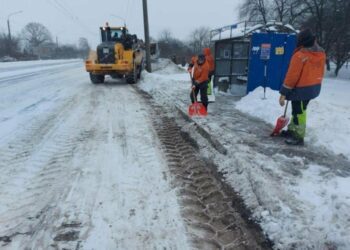 Сніг і вітер не зупиняють рух: яка ситуація на дорогах Тернопільщини (ВІДЕО)