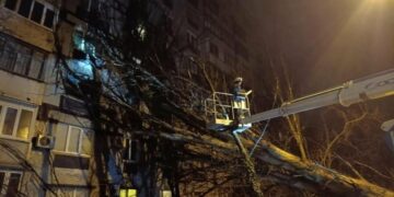 У Запоріжжі через негоду повалило десятки дерев
