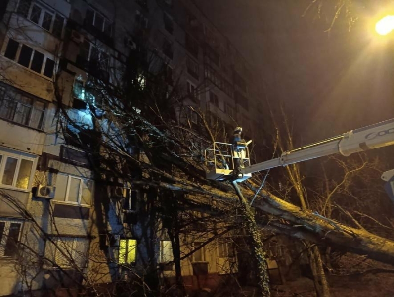 У Запоріжжі через негоду повалило десятки дерев