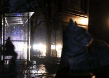 Перевір свою чергу: за яким графіком відключень житиме Тернопільщина 17 січня