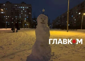 Йдуть сильні морози. Столична влада закликала киян рятуватися самотужки