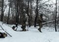 У Запорізькій області ворог здійснив 15 атак