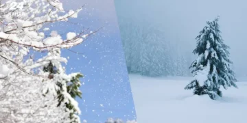 Потепління вже в повітрі: синоптикиня розповіла, коли чекати ослаблення морозів