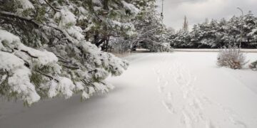 У Криму на 8 січня оголосили екстрене попередження про небезпечні погодні явища