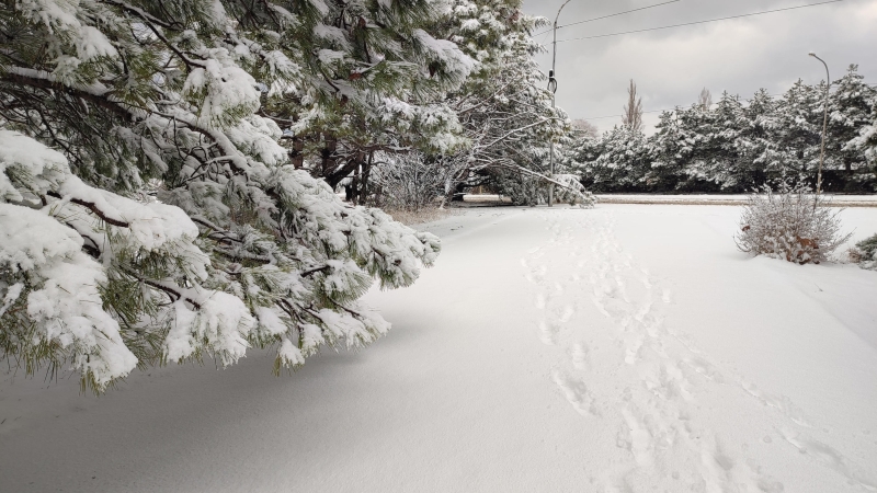 У Криму на 8 січня оголосили екстрене попередження про небезпечні погодні явища
