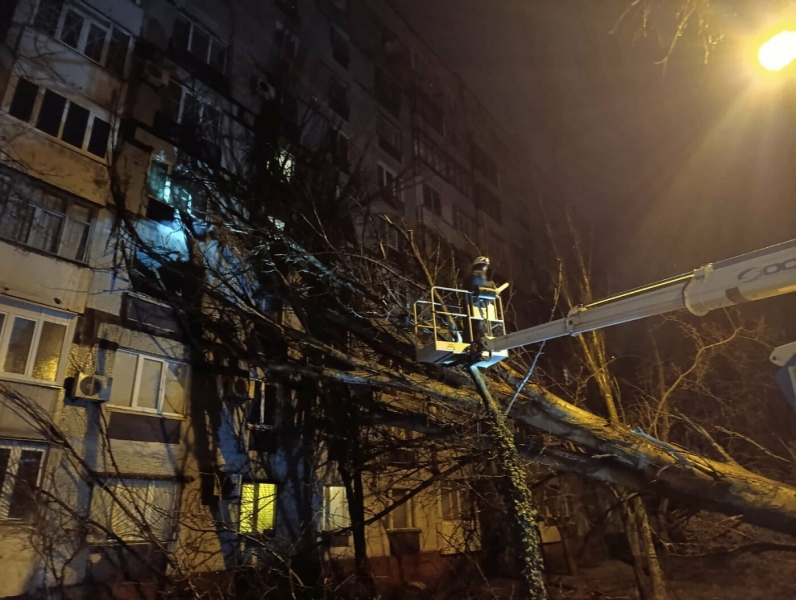 У Запоріжжі через негоду повалило десятки дерев
