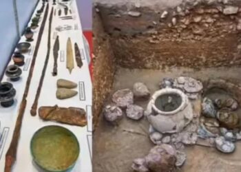 В Індії знайшли списи залізної доби. Це може переписати історію металургії