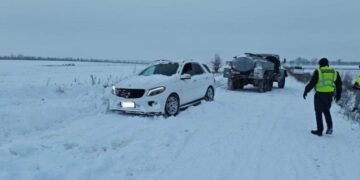 У Запоріжжі через негоду на автодорогах застрягли машини, а також повалило дерево на автівки