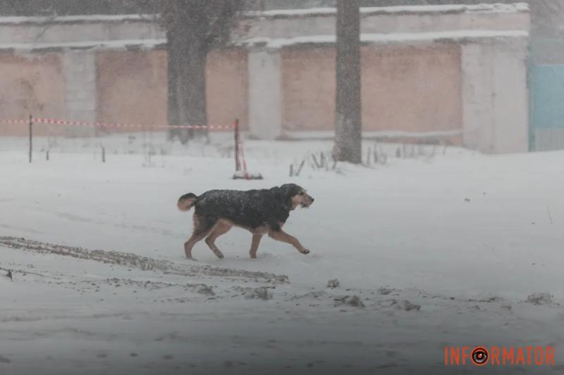 БІЛА ЗАМЕТІЛЬ ТА ХУРДЕЛИЦЯ У ДНІПРІ: ЯК ЗМІНИЛИСЯ ВУЛИЦІ МІСТА ВНАСЛІДОК СНІГОПАДУ ТА ХУРТОВИНИ