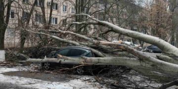 Негода повалила майже 40 дерев в Одесі