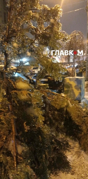 Київ та область накрив рідкісний крижаний дощ: неймовірні фото небезпечної стихії