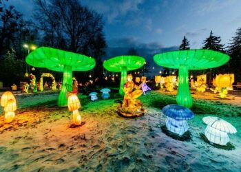 Казка під відкритим небом: у дендропарку “Поділля” засяє “Парк ліхтарів” – з магічними феями, ельфами та драконам