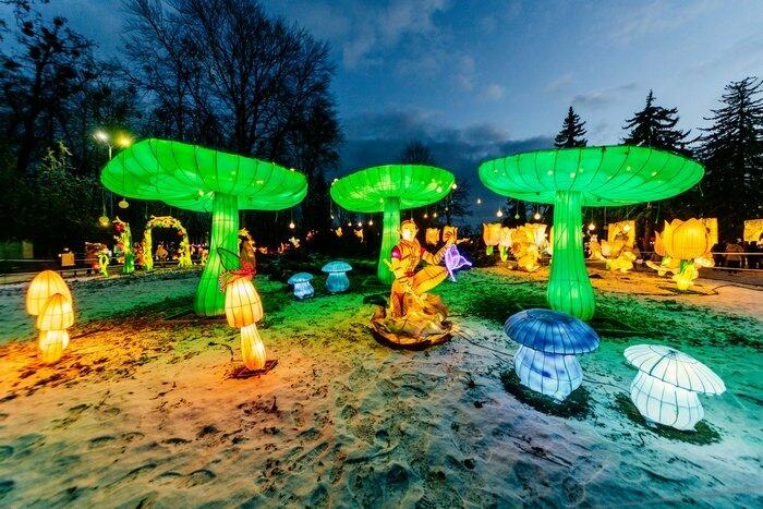 Казка під відкритим небом: у дендропарку "Поділля" засяє "Парк ліхтарів" - з магічними феями, ельфами та драконам