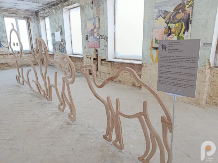 &laquo;Інший поруч&raquo; дивляться українці та іноземці: мистецький проєкт у Луцьку вже зібрав майже тисячу відвідувачів