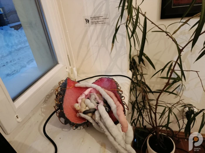 &laquo;Інший поруч&raquo; дивляться українці та іноземці: мистецький проєкт у Луцьку вже зібрав майже тисячу відвідувачів